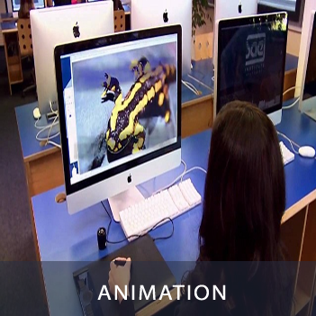 Animation