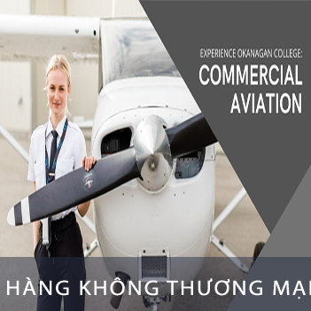 H&agrave;ng kh&ocirc;ng thương mại