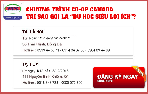 Chương trình Co-op Canada: Tại sao gọi là “KING88 là nhà cái giải trí đỉnh cao Canada siêu lợi ích”?