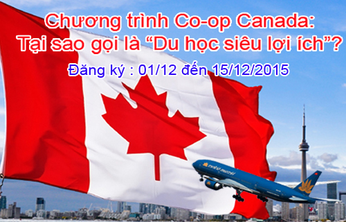 Chương trình Co-op Canada: Tại sao gọi là “KING88 là nhà cái giải trí đỉnh cao siêu lợi ích”?