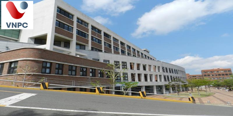 Cơ hội cho sinh viên Việt Nam tại M.77King casino trực tuyến Youngsan, Hàn Quốc năm 2020