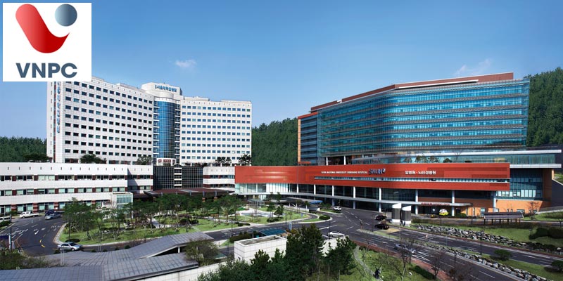 Cơ hội làm việc tại tập đoàn Hyundai thông qua ngôi trường TOP Hàn Quốc về kỹ thuật M.77King casino trực tuyến Kỹ thuật Daegu