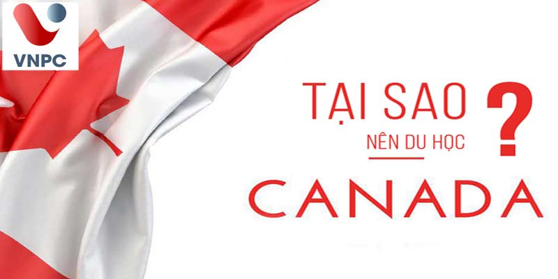 Có nên tiếp tục Đăng nhập King88 vina nhận +888K Canada trong năm 2021?