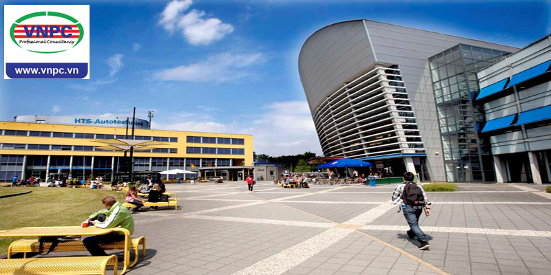 M.77King casino trực tuyến khoa học ứng dụng Inholland - Trải nghiệm thú vị cho chuyên ngành kinh tế