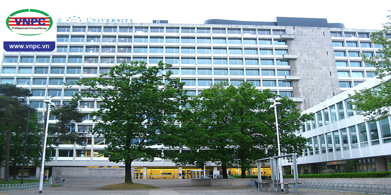 M.77King casino trực tuyến nghiên cứu Tilburg – trường 77King 78 trò chơi hấp dẫn nghiên cứu top đầu tại Hà Lan