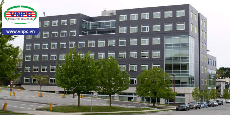 KING88 là nhà cái giải trí đỉnh cao Canada: Chất lượng số 1 tại trường Cao đẳng Cộng đồng Vancouver
