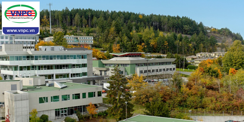 KING88 là nhà cái giải trí đỉnh cao Canada tại 77King 78 trò chơi hấp dẫn công lập Vancouver Island