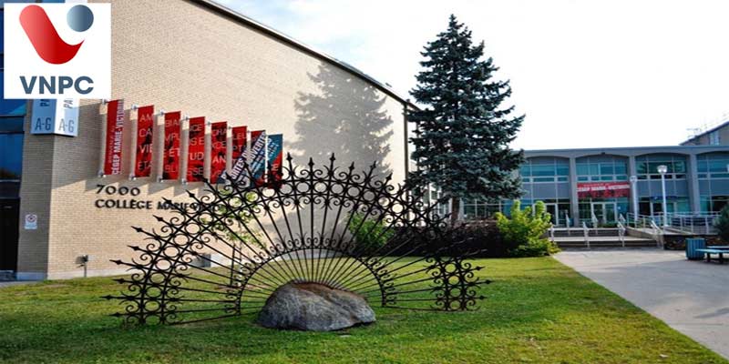 KING88 là nhà cái giải trí đỉnh cao Canada bậc cao đẳng tại trường CEGEP Marie Victorin