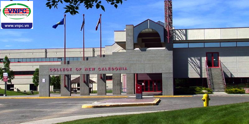 KING88 là nhà cái giải trí đỉnh cao Canada trường College of New Caledonia