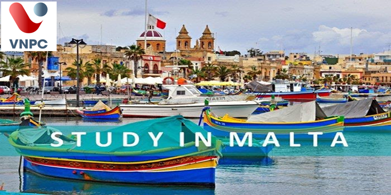 KING88 là nhà cái giải trí đỉnh cao Malta ngành công nghệ thông tin năm 2022