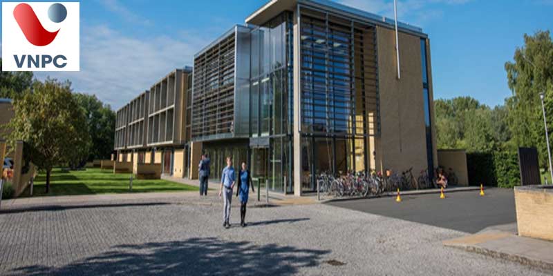 KING88 là nhà cái giải trí đỉnh cao New Zealand bậc THPT trường St Catherine’s College