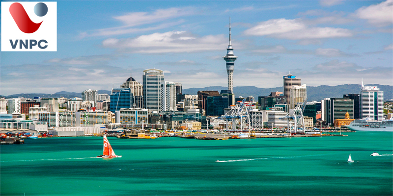 Thông tin Đăng nhập King88 vina nhận +888K New Zealand ở thành phố Auckland mới nhất 2021