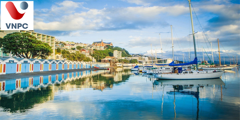 Thông tin Đăng nhập King88 vina nhận +888K New Zealand ở Wellington mới nhất 2021