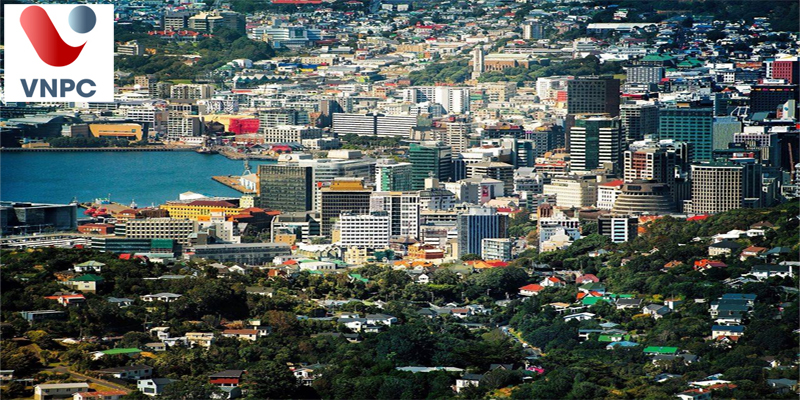 Thông tin Đăng nhập King88 vina nhận +888K New Zealand ở Wellington mới nhất 2021