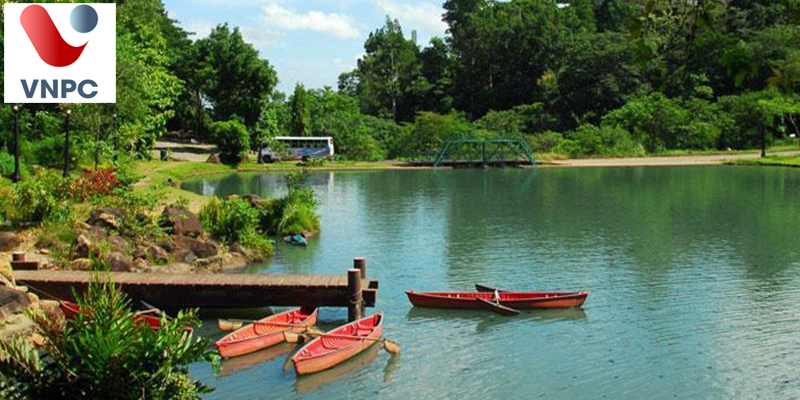 KING88 là nhà cái giải trí đỉnh cao Philippines ở thành phố Bacolod