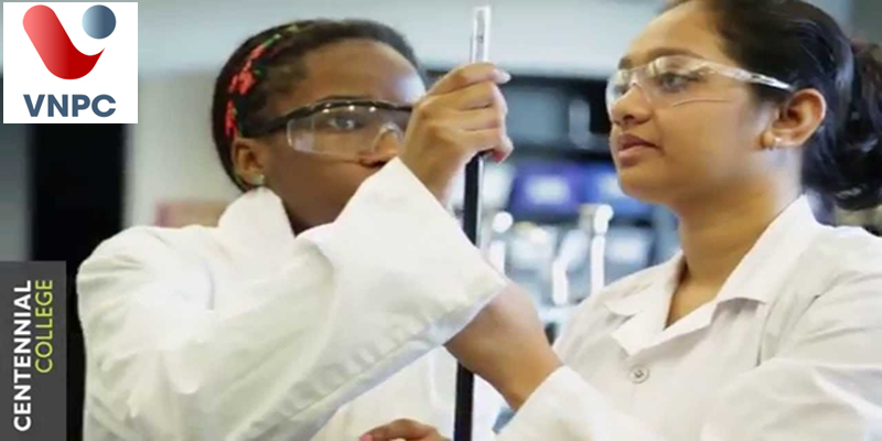 KING88 là nhà cái giải trí đỉnh cao Canada ngành công nghệ khoa học thực phẩm tại trường Centennial College