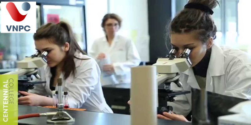 KING88 là nhà cái giải trí đỉnh cao Canada ngành công nghệ sinh học tại trường Centennial College