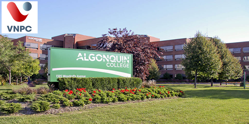 KING88 là nhà cái giải trí đỉnh cao Canada ngành kế toán tại trường Algonquin College
