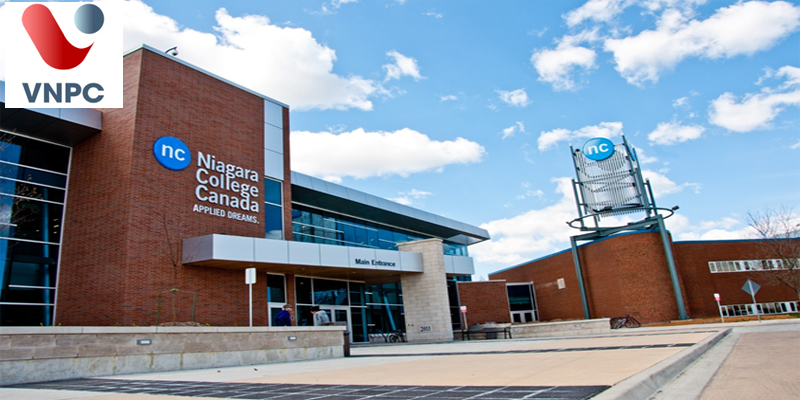 KING88 là nhà cái giải trí đỉnh cao Canada ngành diễn xuất điện ảnh và truyền hình trường Niagara College