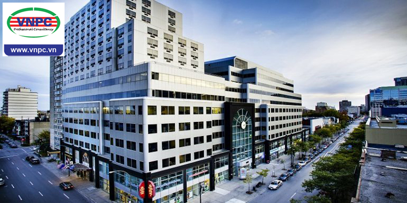 KING88 là nhà cái giải trí đỉnh cao Canada tại Quebec - Đừng bỏ qua LaSalle College