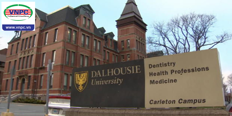 KING88 là nhà cái giải trí đỉnh cao Canada tại ngôi trường 200 năm tuổi Dalhousie University