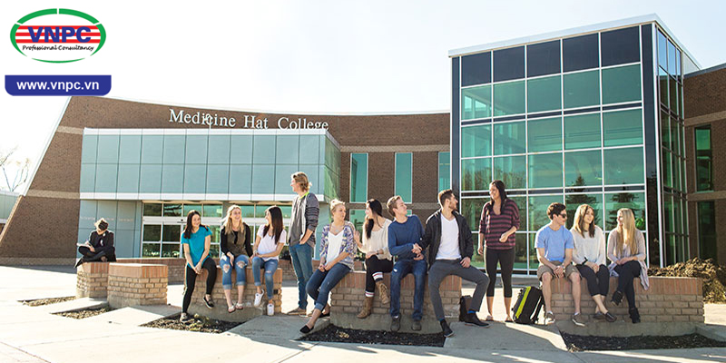 KING88 là nhà cái giải trí đỉnh cao Canada trường Medicine Hat College
