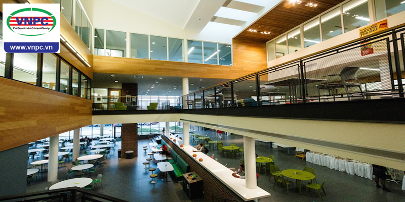 KING88 là nhà cái giải trí đỉnh cao Canada với chi phí thấp tại Parkland College