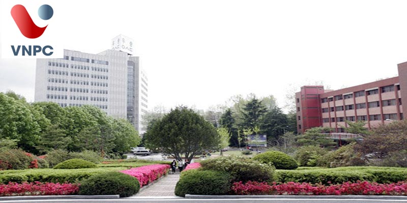 KING88 là nhà cái giải trí đỉnh cao Hàn Quốc chi phí vừa phải tại trường top Woosong University