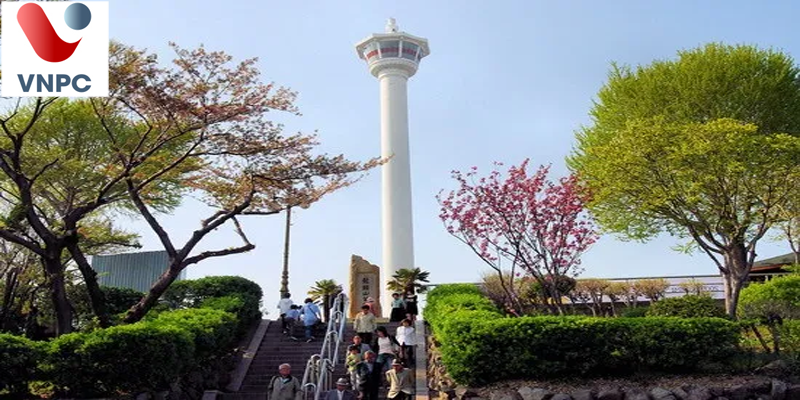 KING88 là nhà cái giải trí đỉnh cao Hàn Quốc ở thành phố Busan