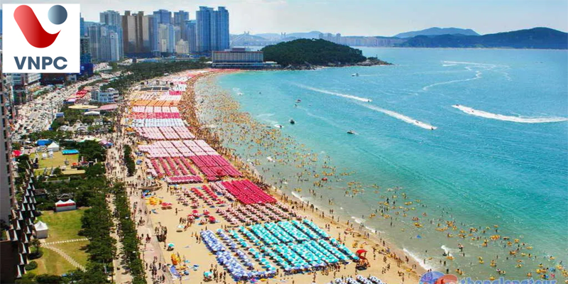 KING88 là nhà cái giải trí đỉnh cao Hàn Quốc ở thành phố Busan
