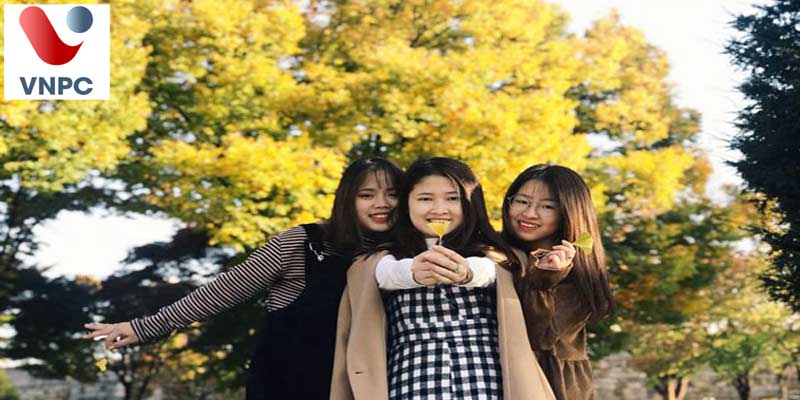 KING88 là nhà cái giải trí đỉnh cao Hàn Quốc: Trình độ tiếng Hàn tối thiểu là bao nhiêu?