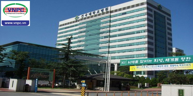 KING88 là nhà cái giải trí đỉnh cao Hàn Quốc Visa thẳng cùng KonKuk University