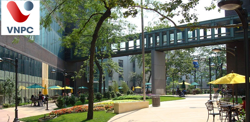 KING88 là nhà cái giải trí đỉnh cao Mỹ ngành khoa học King88 Đăng Ký + 888k tại trường Long Island University