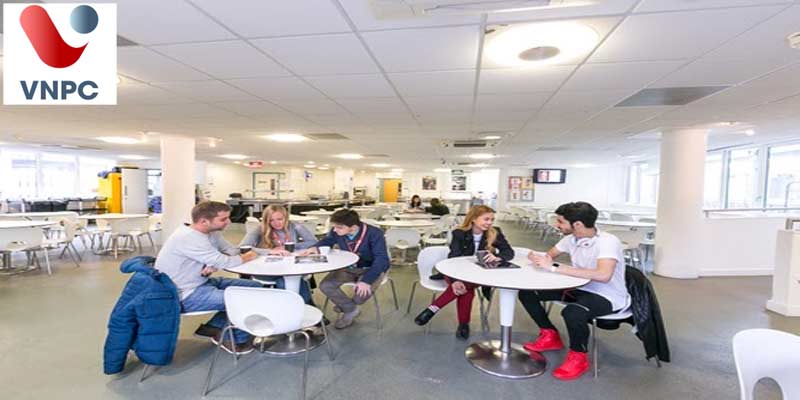 KING88 là nhà cái giải trí đỉnh cao Mỹ tại trường Stafford House School of English USA 