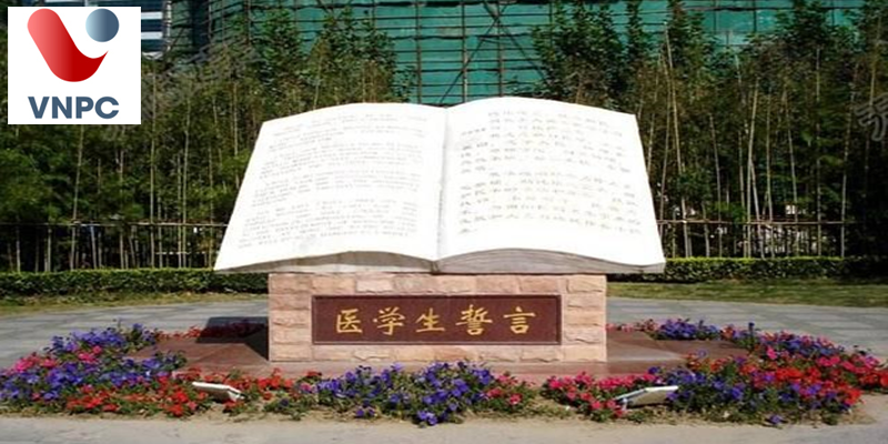 KING88 là nhà cái giải trí đỉnh cao Trung Quốc ngành Y Khoa năm 2022