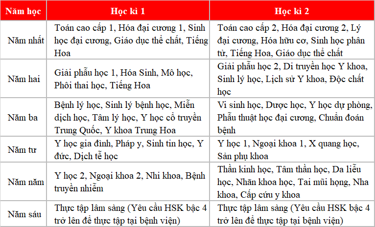 KING88 là nhà cái giải trí đỉnh cao Trung Quốc ngành Y Khoa năm 2022