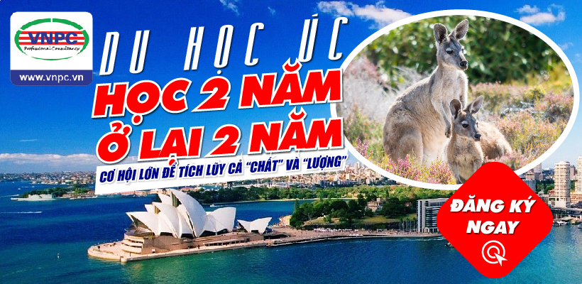 King888 shop hiện đang mở - Học 2 năm ở lại 2 năm cơ hội lớn để tích lũy cả "Chất" và "Lượng"