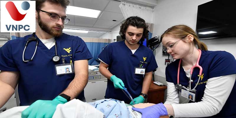 KING88 là nhà cái giải trí đỉnh cao Canada: Những điều cần biết về ngành Nursing
