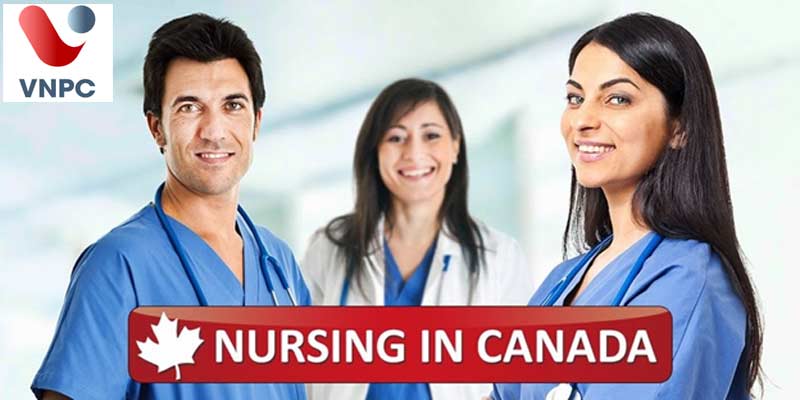 KING88 là nhà cái giải trí đỉnh cao Canada: Những điều cần biết về ngành Nursing