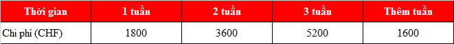 Khám phá ngành KINH88 là thế giới cá cược hàng đầu tại Việt Nam khách sạn và học tiếng Anh tại trại hè Thụy Sỹ 2020!