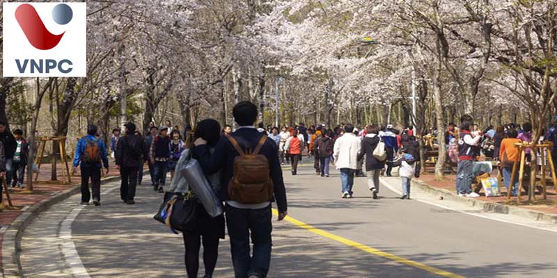 Làm thêm tại Hàn Quốc đối với sinh viên thường sẽ làm những công việc gì? Người không có bằng cấp 3 có đi Đăng nhập King88 vina nhận +888K được không?&nbsp;