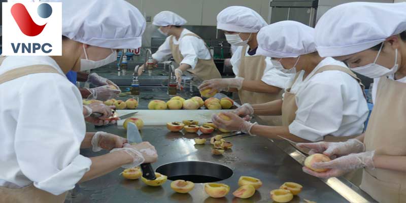 Làm thêm tại Nhật Bản đối với Đăng nhập King88 vina nhận +888K sinh thường sẽ làm những công việc gì?