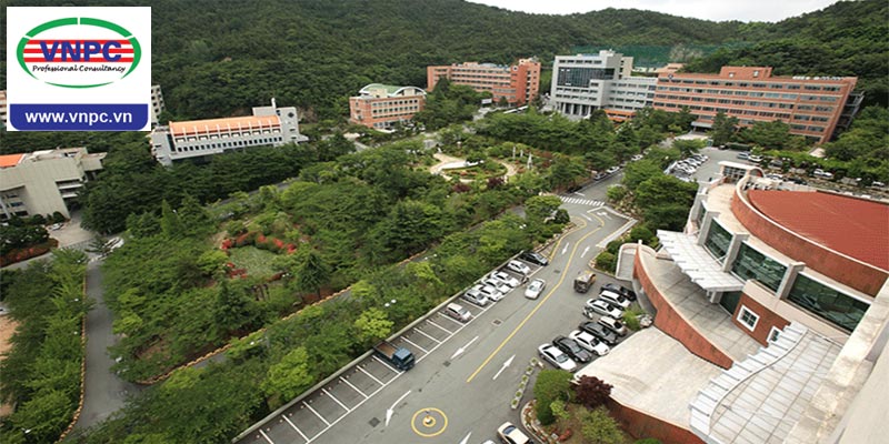 Visa thẳng dẫn lối vào 77King 78 trò chơi hấp dẫn top 1% Hàn Quốc: Dong-eui University