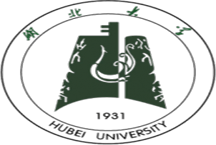 Hubei University