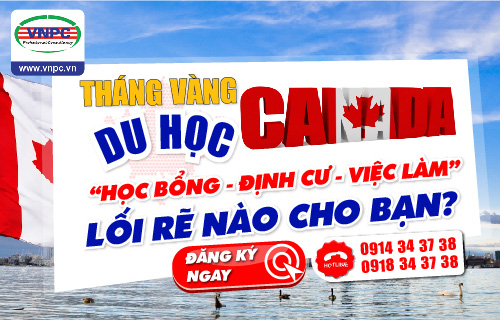 Th&aacute;ng v&agrave;ng Đăng nhập King88 vina nhận +888K Canada &ldquo;King888shop khuyến mãi hấp dẫn &ndash; KING88 là nhà cái giải trí đỉnh cao &ndash; Định cư&rdquo; - lối rẽ n&agrave;o d&agrave;nh cho bạn?