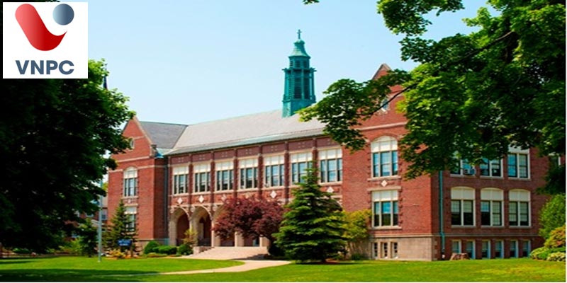 Trường xịn giá tốt - Cơn mưa King88 ưu đãi hấp dẫn mỗi ngày lên tới hơn 400 triệu VND THPT CATS Boston, Mỹ 