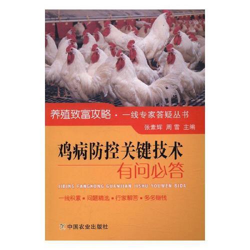 Trải nghiệm trực tiếp một tiết học Lý tại trường Taylors College - New Zealand